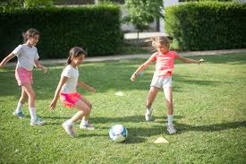 解析芝加哥小熊的瑞格利球场常春藤墙背后的维护秘密